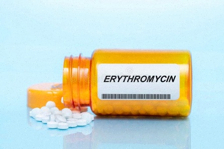 erythromycin